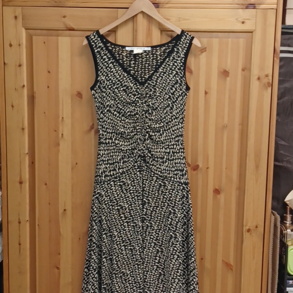 Max Studio Dress